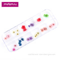 Nail art accessories real dry dried flowers 12 colors in rectangle